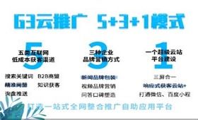 书涵网络科技 企业互联网推广定制化解决方案与网络营销咨询服务引领行业新标杆